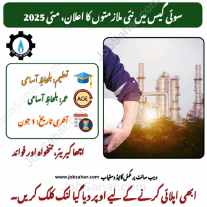 SSGC Jobs 2025 – Online Apply for Southern Sui Gas Company Careers